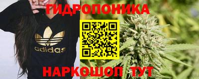 соль ск Кингисепп