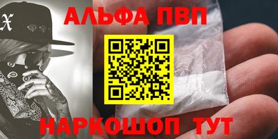 соль ск Кингисепп